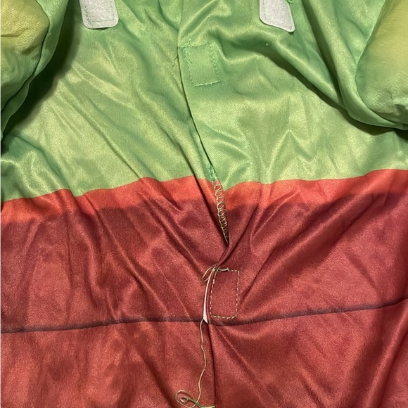 TMNT costume - Picture 3 of 7